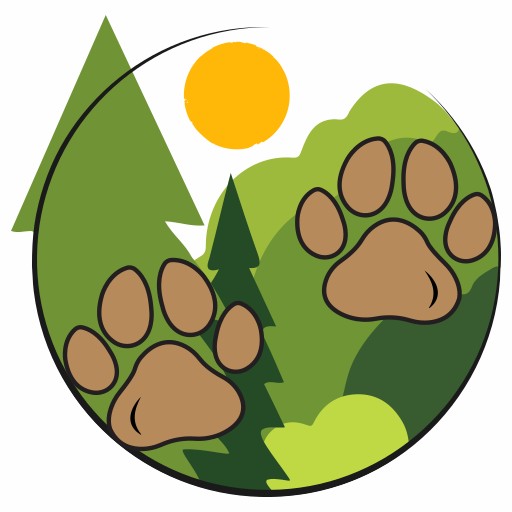 Les pattes en forêt